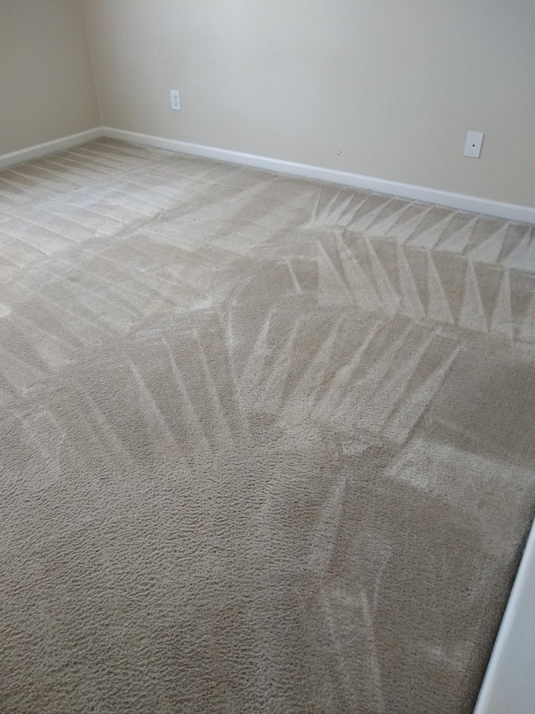 Green Steps Carpet Care