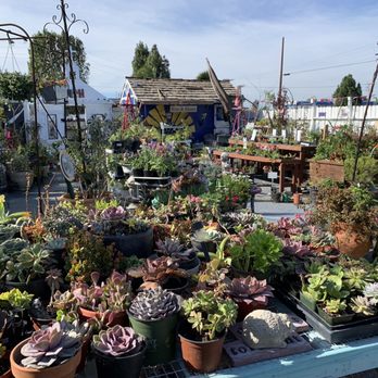 Heavenly Vintage Nursery 166 Photos 70 Reviews Nurseries Photo Of Heavenly Vintage Nursery Fountain Valley Ca United States
