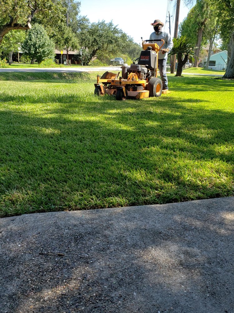 Flex Lawn and Tree Service