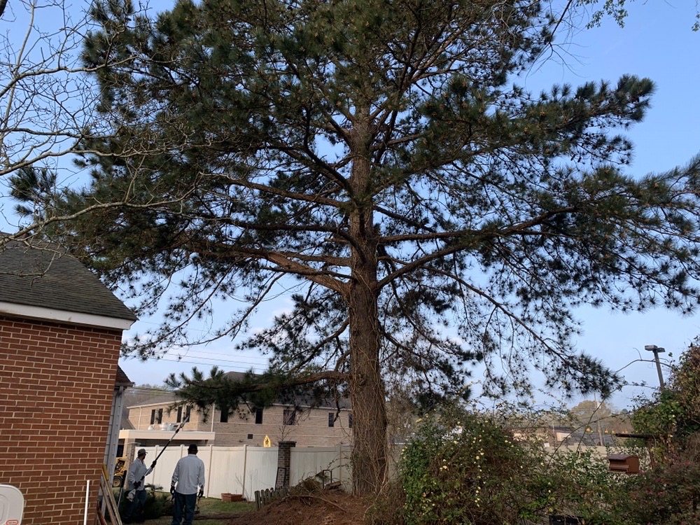 Levon's Tree Service