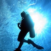 Beach Cities Scuba Aquatic Center 13 Reviews Diving 4537 Photo Of Beach Cities Scuba Aquatic Center Newport Ca United States