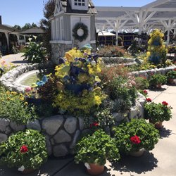 Armstrong Garden Centers 26 Photos 19 Reviews Nurseries Photo Of Armstrong Garden Centers San Juan Capistrano Ca United States