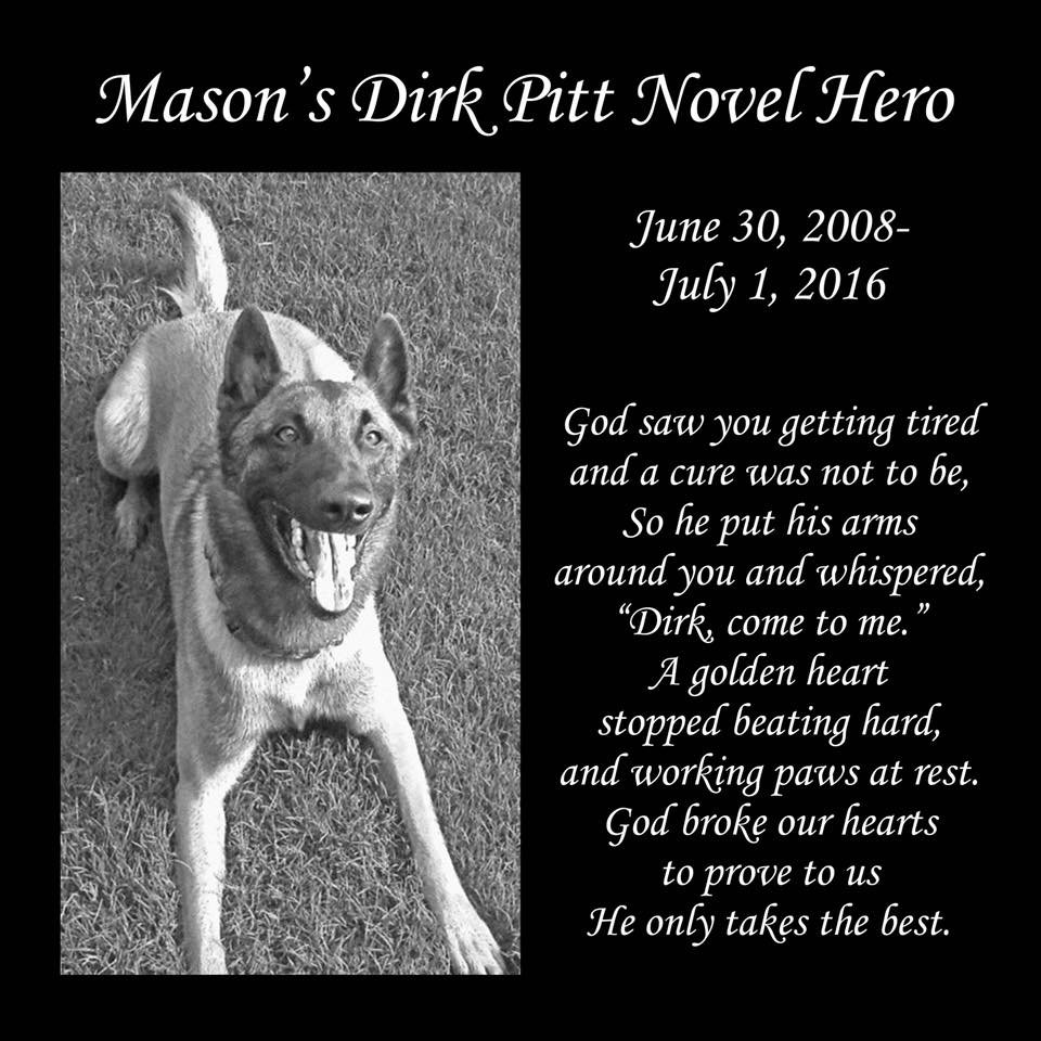Mason's Mongrel's Dog Training & Kennel's Image