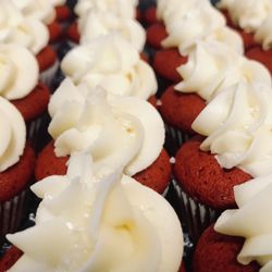 top 10 best cupcake