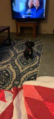 University Medical Group