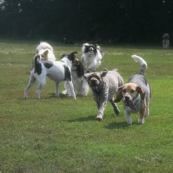 Doggie daycare topeka