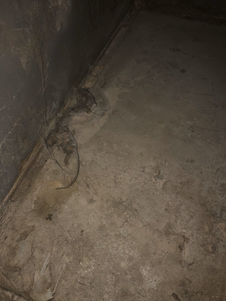 All Air Duct Cleaning