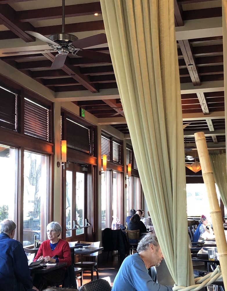 Hot asains lesbian sex