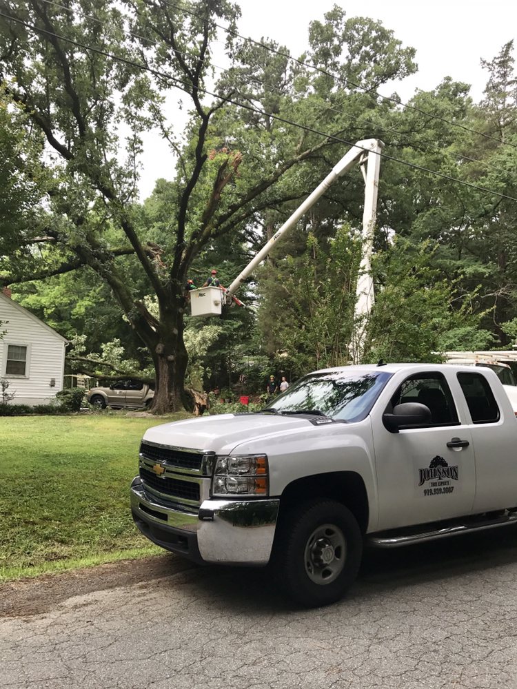 Johnson Tree Experts