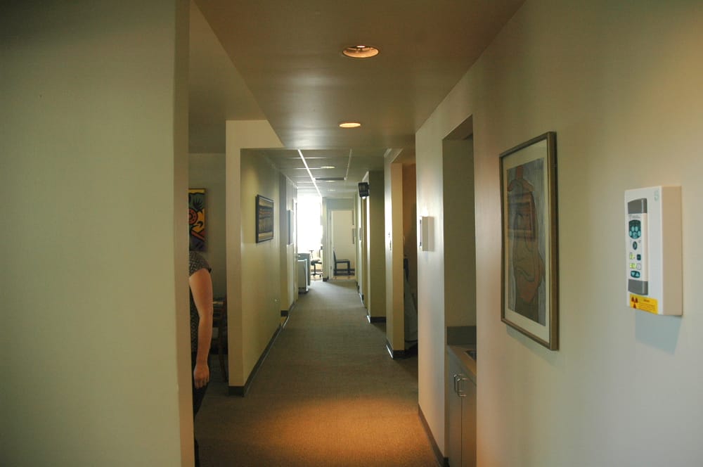 image of business David B Wiley, DMD
