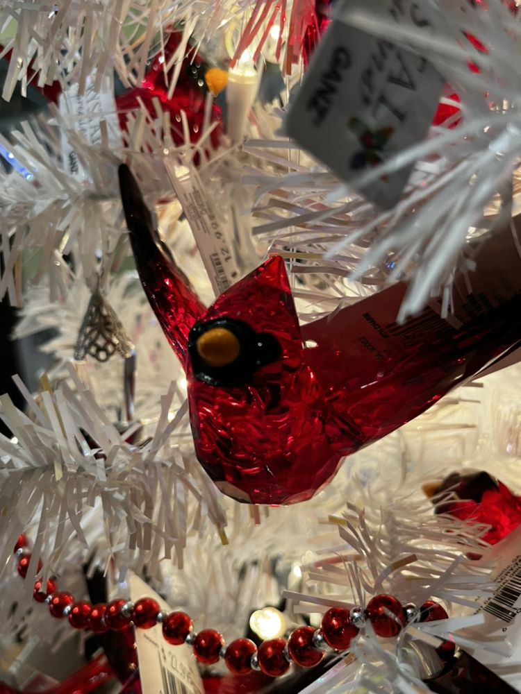 Down Home Garden Center & General Store