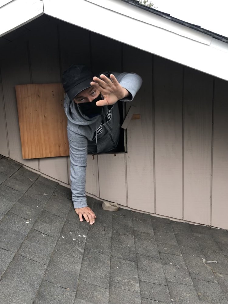 image of business Dial Leo Heating & Air Conditioning