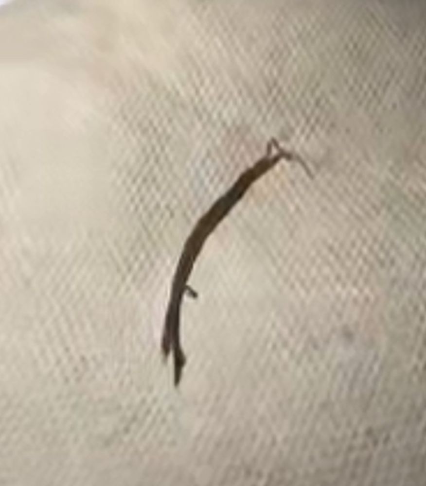 Zaxby's Chicken Fingers & Buffalo Wings