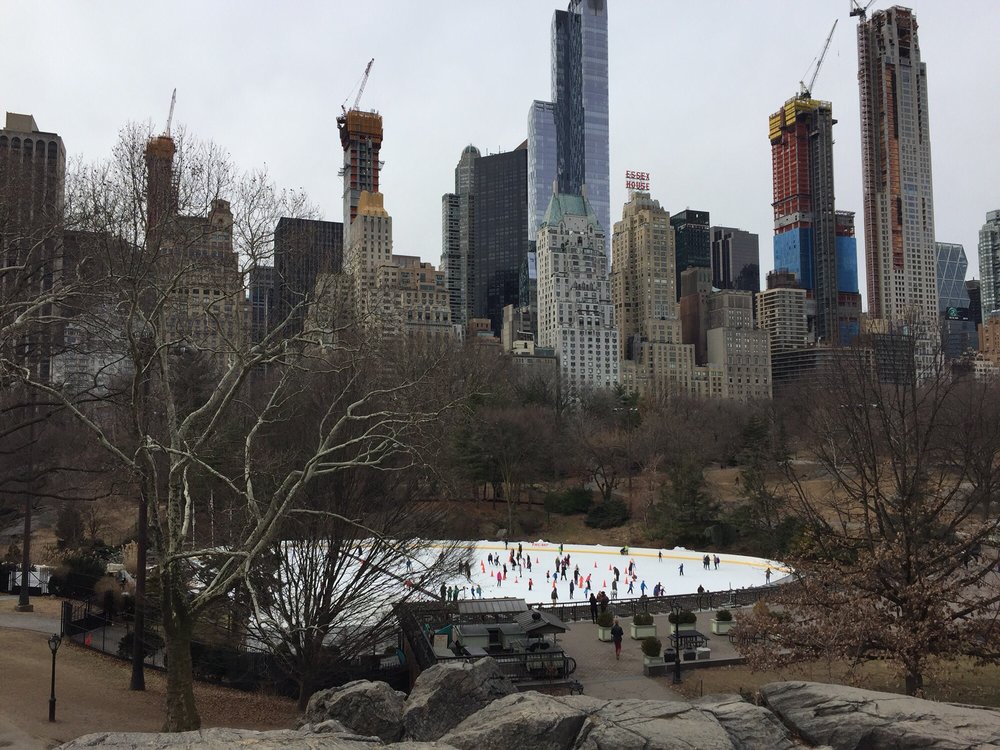 Eco Central Park Tours
