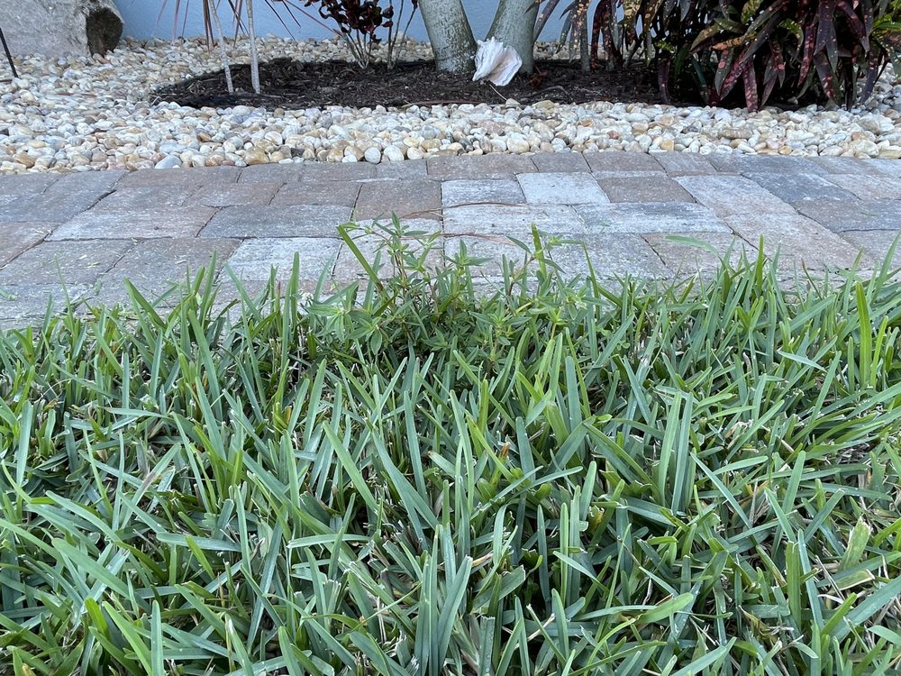 Bio Green of Brevard