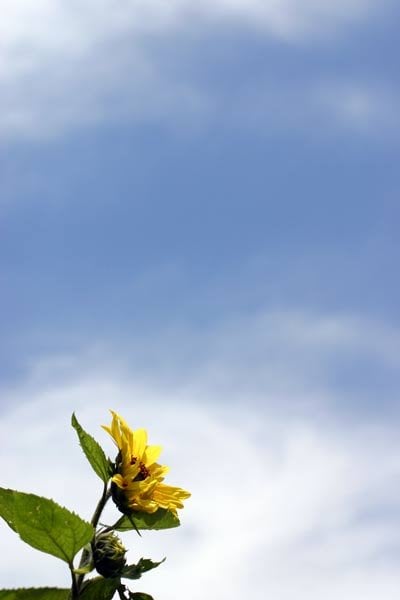 West Village Market & Deli