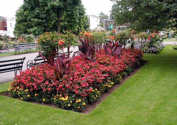 Li Green Landscaping Centereach Ny Phone Number Photo Of Li Green Landscaping Centereach Ny United States