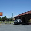 The Barking Frog