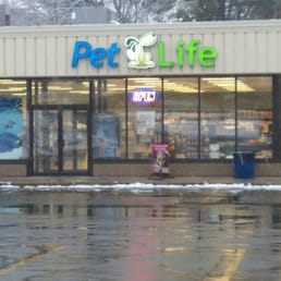 pet life pet stores 517 s broadway salem nh phone pet life pet stores 517 s broadway salem nh phone