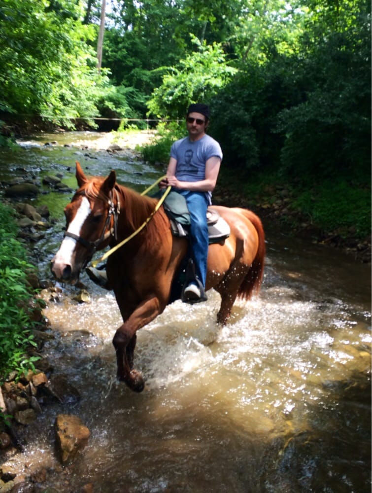 Jordan Hollow Stables 18 Reviews Horseback Riding 657 Pine Grove
