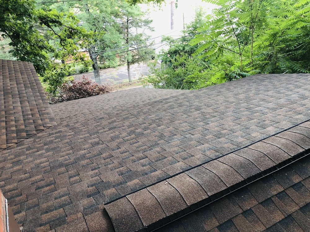 Ricardo's Alpha Roofing