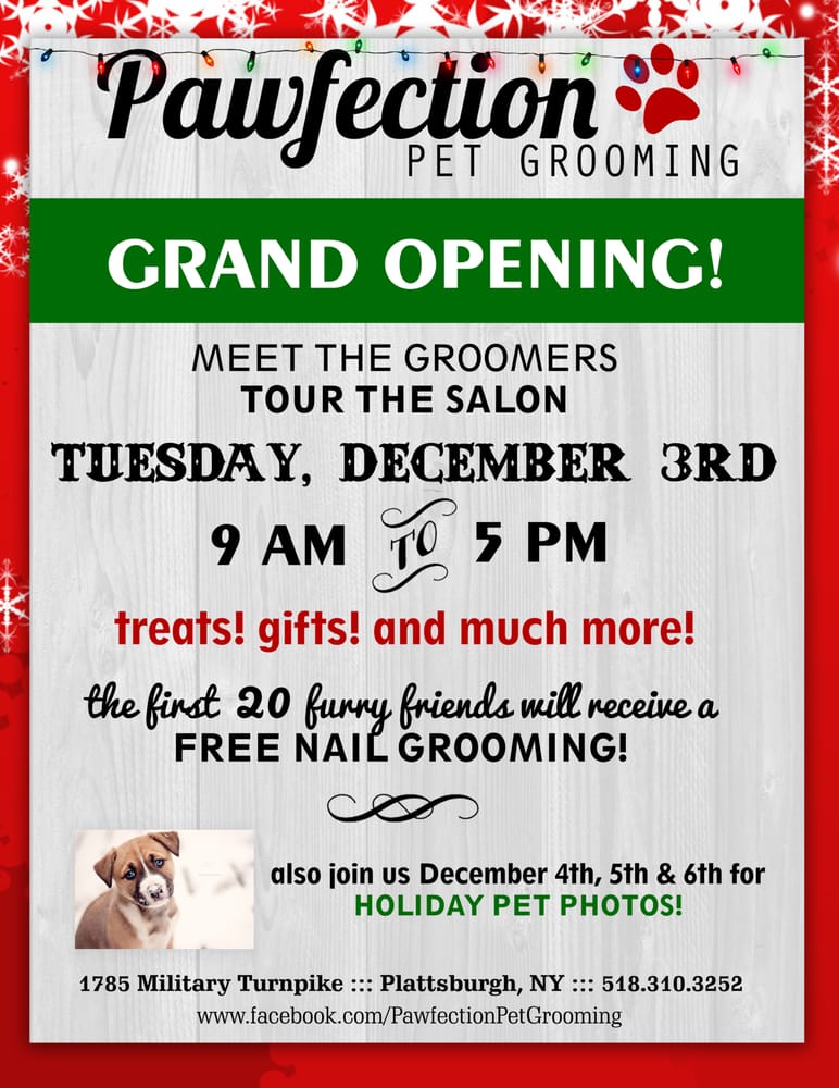Pawfection Pet Grooming 2019 All You Need to Know BEFORE You Go (with