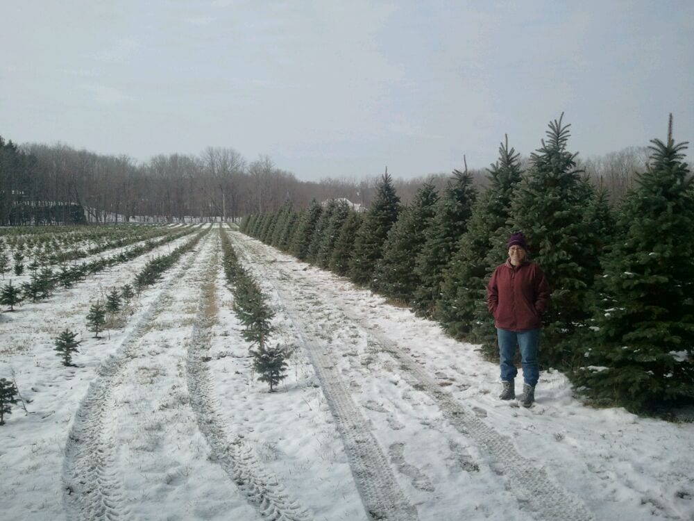 Sugar Pines Farm Nurseries & Gardening 9500 Mulberry Rd