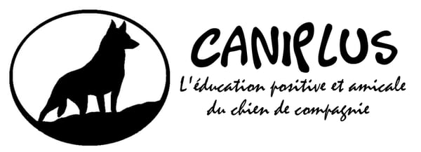 caniplus - Dressage de chien & autres animaux - Andrésy caniplus - Dressage de chien & autres animaux - Andrésy