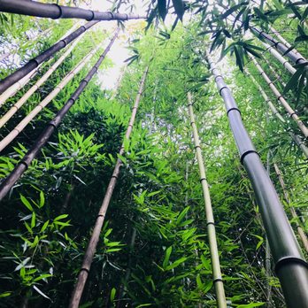 The Fantastic Umbrella Factory - 228 Photos & 93 Reviews - Cafes - 4820