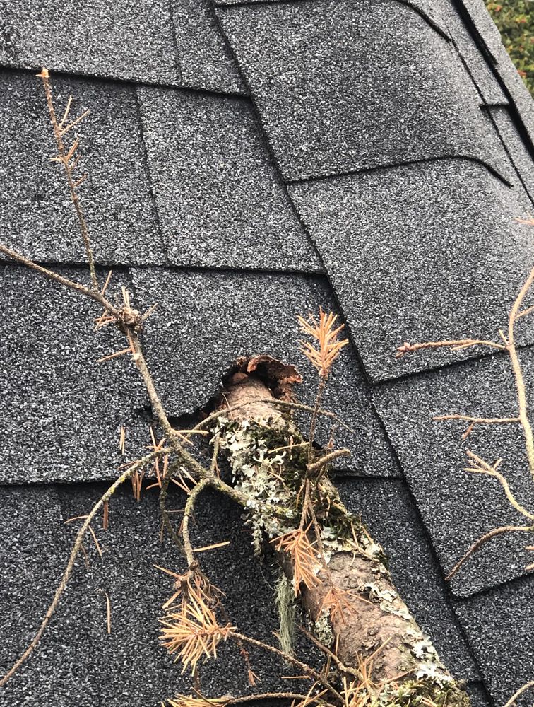 Oregon Roof Cleaning