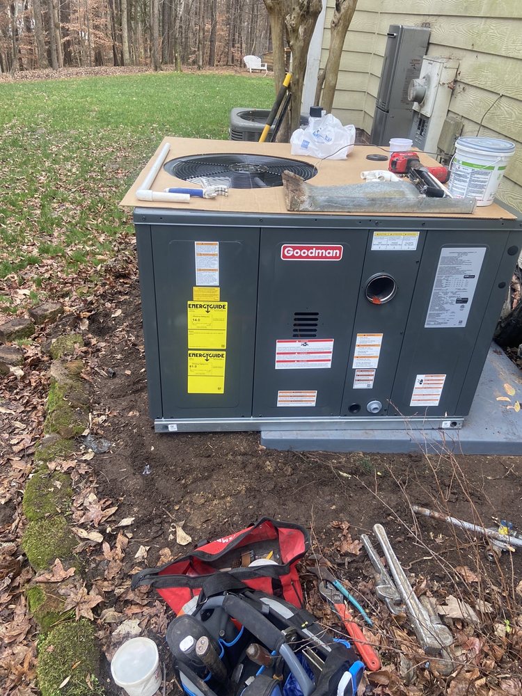 image of business Luciano