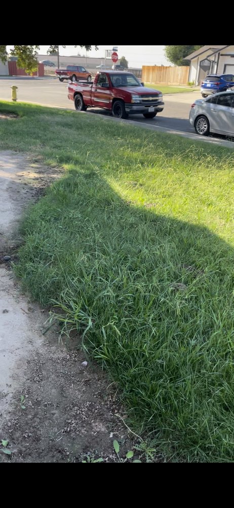 George’s Lawn Maintenance