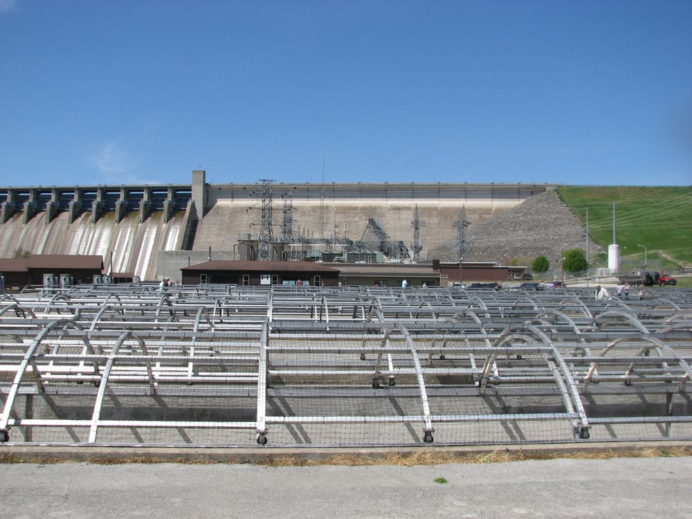 Shepherd of the Hills Fish Hatchery 53 Photos & 26
