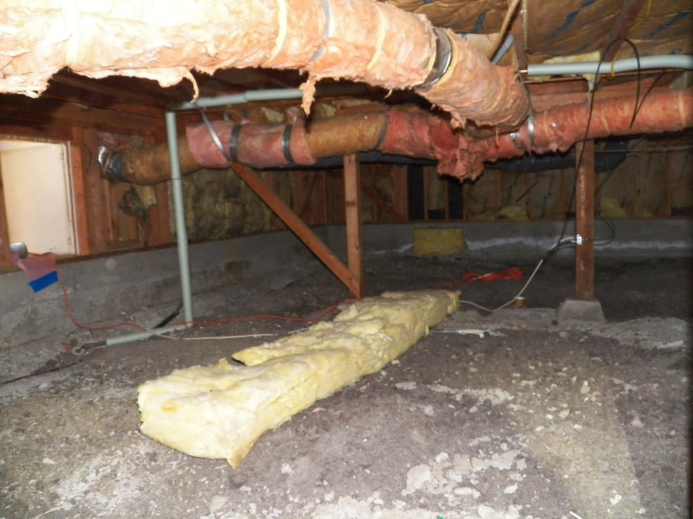 Crawlspace Deutsch Crawlspace Deutsch