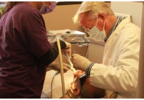 image of business Daniel Donoho, DDS