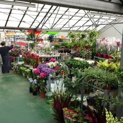 Neal S Nurseries Gardening Centres Heathfield Road Earlsfield Photo Of Neal S Nurseries London United Kingdom