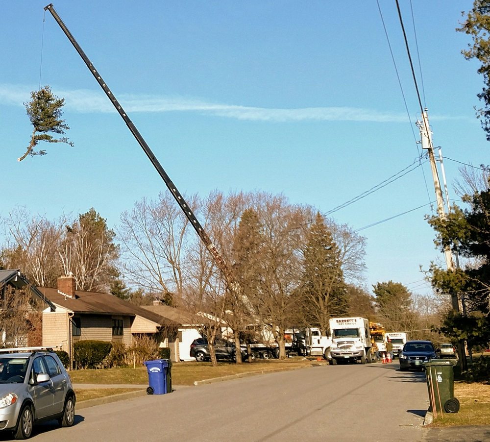 Barrett's Tree Service
