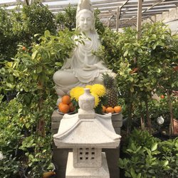 Tea Garden Nursery 24 Photos Nurseries Gardening 1211 E Photo Of Tea Garden Nursery Arlington Tx United States
