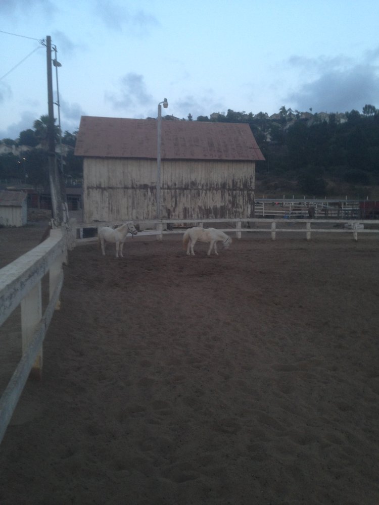 Canyonside Ranch