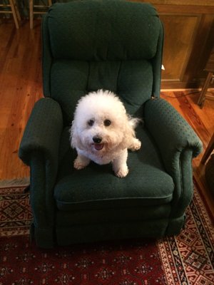 Utter\'s Custom Upholstery - Furniture Reupholstery - 1207 Mathis ... Utter\'s Custom Upholstery - Furniture Reupholstery - 1207 Mathis ...