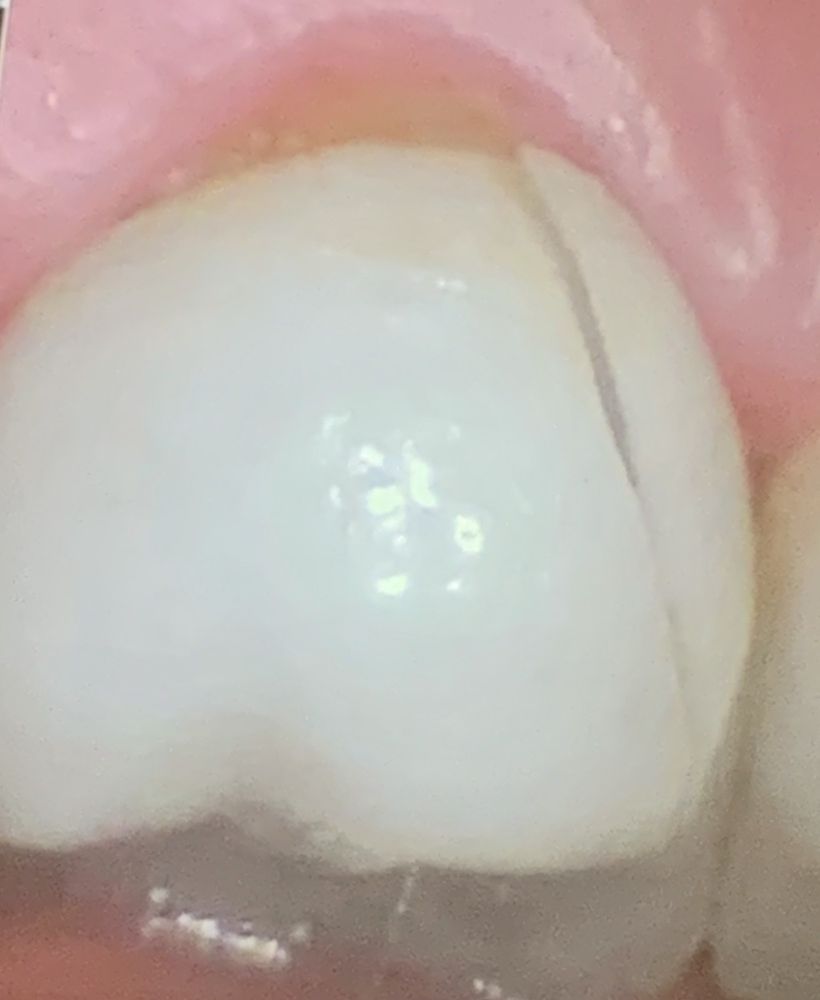 image of business David W. Alfaro, DDS