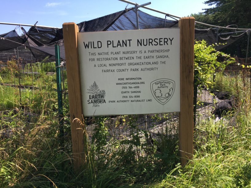 Earth Sangha Wild Plant Nursery