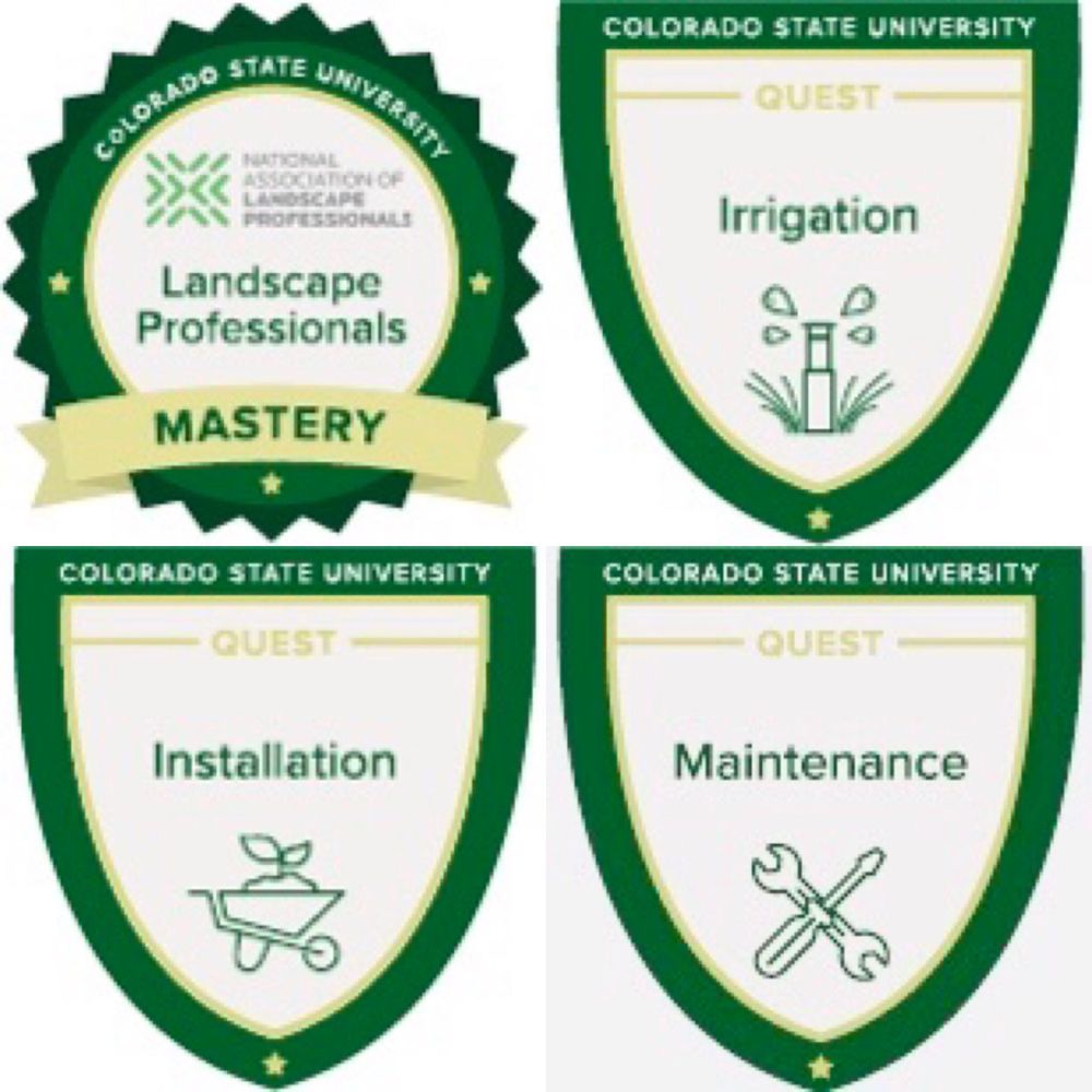 Silvas Landscaping Co