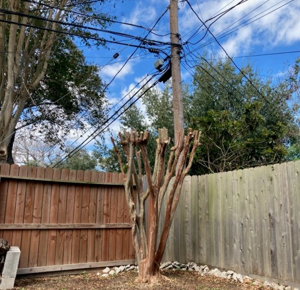 Al's Tree Service