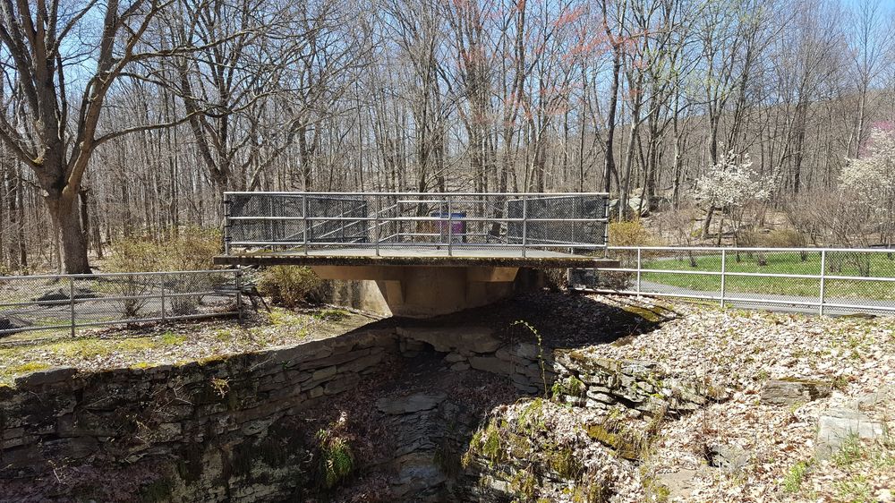 Archbald Pothole State Park 17 Photos Parks US Business Rte 6