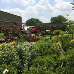 Centre Ridge Garden Center Nurseries Gardening 652 St Photo Of Centre Ridge Garden Center Nutley Nj United States Deceptively Large