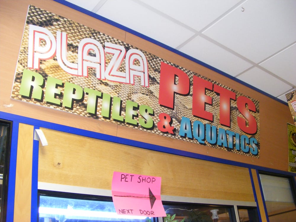 reptile shop erdington