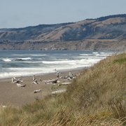 Manchester State Campground Closed 10 Photos Campgrounds View Of The Photo Manchester State Campground Ca United States Beach