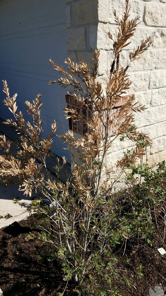 Hillside Nursery Nurseries & Gardening 5901 Williams Dr,