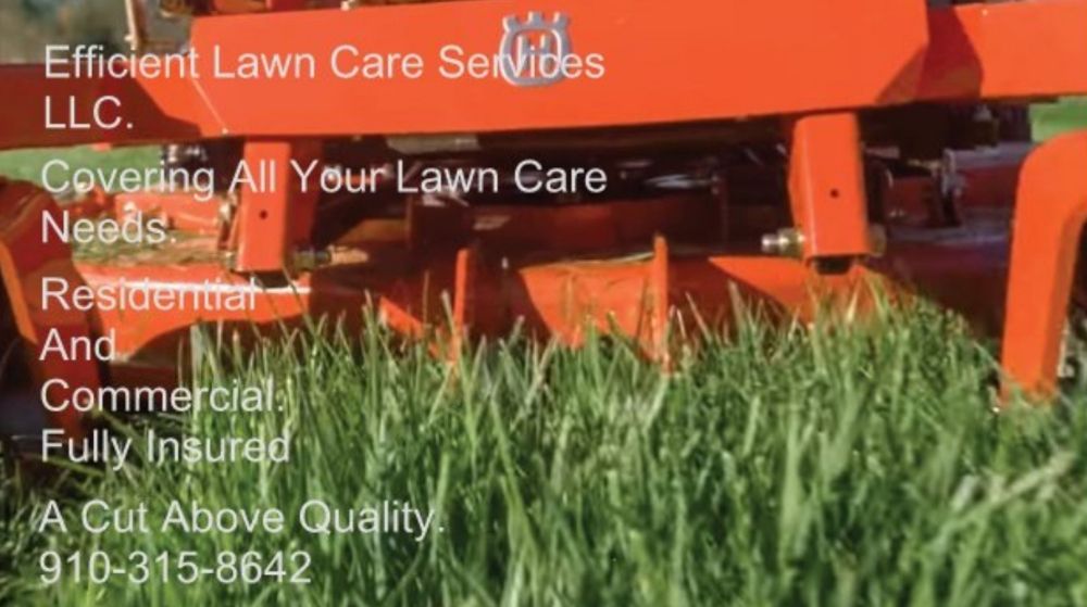 Efficient Lawn Care Services